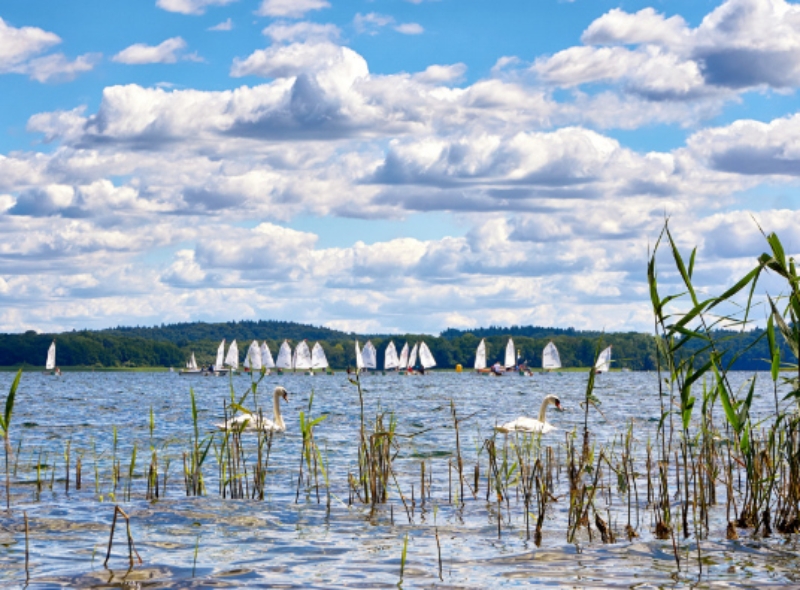 Segelboote auf dem Schweriner See